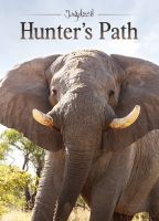 Hunter,Path,Bowhunting,Namibia,Elephants,Zimbabwe,Country,Lions
