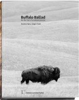Buffalo,Wild,Rind,Großwild,Bison