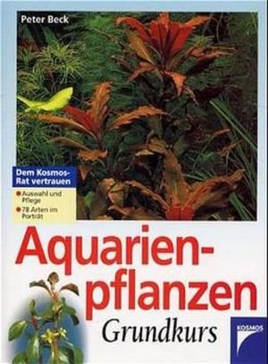 Aquarium, Aqaurien-Bepflanzung, Aquarium-Pflanzen