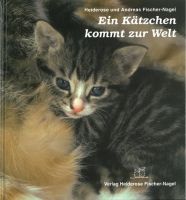 Katzen, Kätzchen, Kinderbücher, Kinder in der Natur