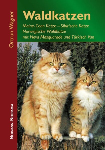 Waldkatzen, Katzenbuch, Wagner