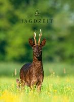 Jagdzeit, Jagdzeit Ausgabe 47, Jagdzeit international, Auslandsjagd