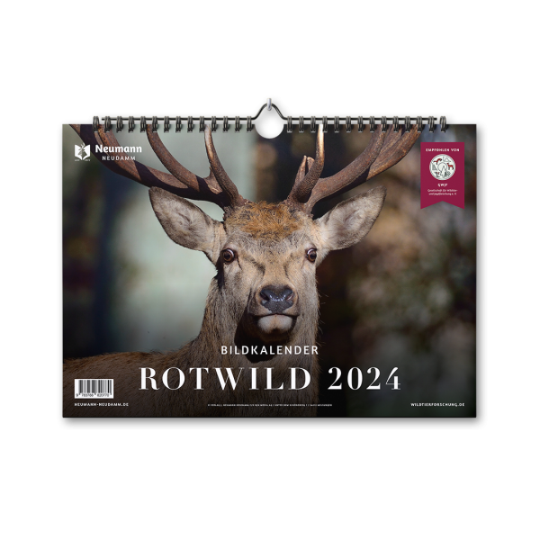 Kalender, kalender 2024, Rotwild Kalender