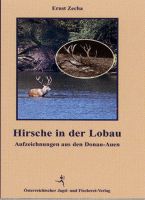 Hirsche,Lobau,Donau,Auen,Rotwild,Revier,