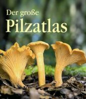 Lamaison, Der große Pilatals, Pilzführer, Pilzatals, Naturführer