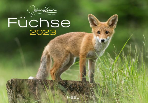 Kalender, Kalender Füchse, Kalender 2023, Füchse