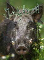 Jagdzeit, Jagdzeit international, Jagdzeit Ausgabe 44, Jagdmagazin