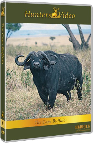 Hunters Video, DVD, Büffeljagd, Kaffernbüffel, Tansania