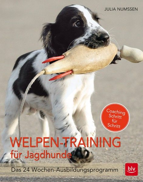 Welpen-Training, Jagdhundausbildung