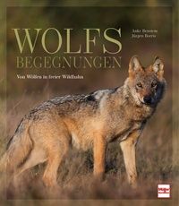 Wolf, Wölfe, Bildband Wölfe, Wölfe in freier Wildbahn, Wolfsbegegnungen