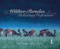 Schwarz, Wildtier-Paradies, Mecklenburg-Vorpommern, Malerei,