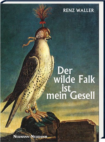 Renz Waller, Falke, Der wilde Falk, Falknerei