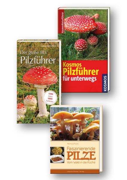 Pilze bestimmen, Pilzführer, Pilze