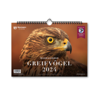 Kalender, Kalender 2024, Greifvögel Kalender 2024, Greifvögel, Vögel, Natur, Naturkalender