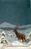 Weihnachten, Jagdgeschichten