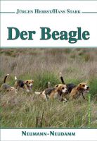 Beagle, Hunderassen